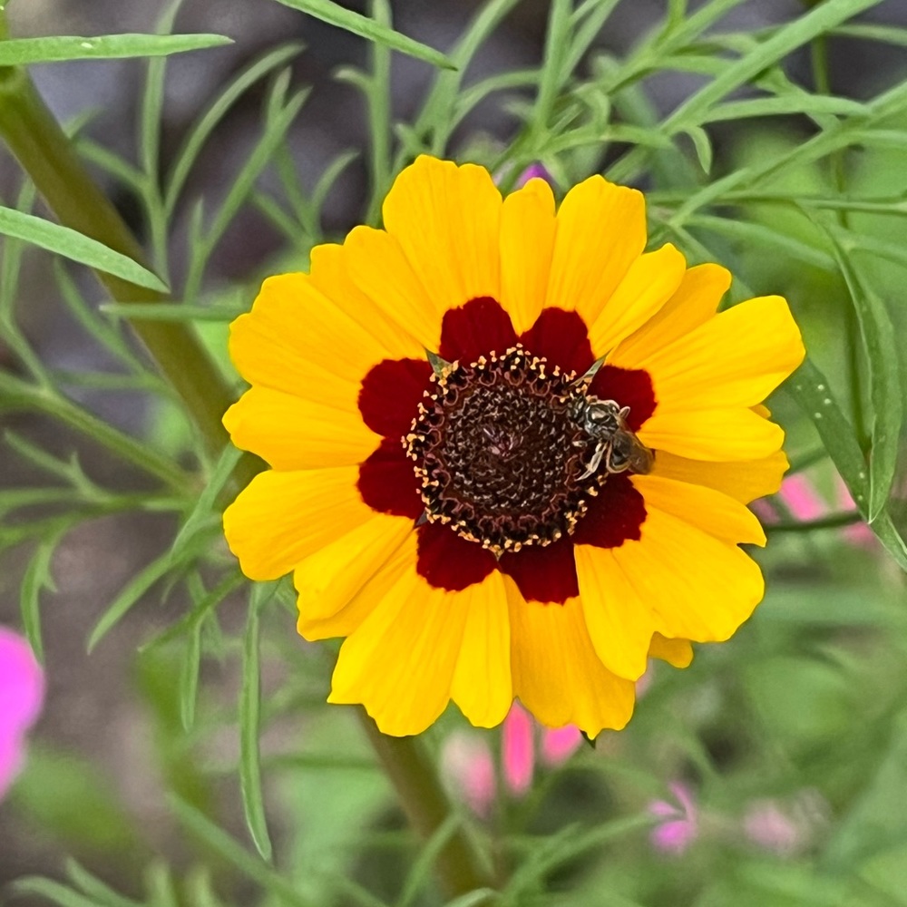 Meet your Posher, Jamie